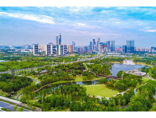 徐州林艺园林绿化工程招标