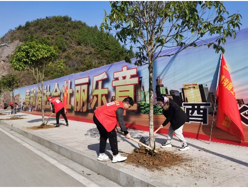 园林绿化工程施工点评