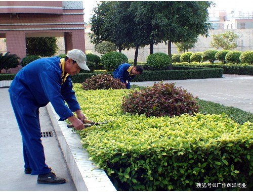 新沂市木远园林绿化工程